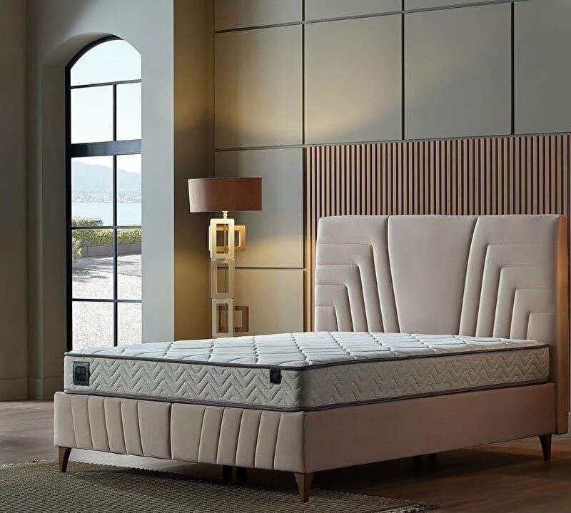 paturi_chisinau_toria