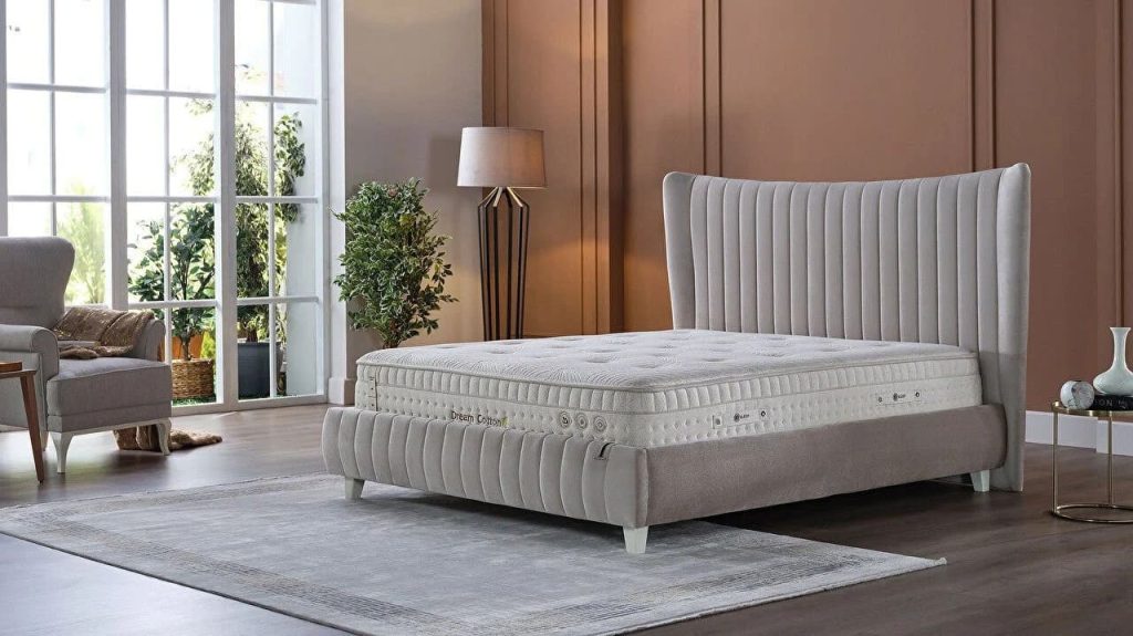 paturi_chisinau_venisa