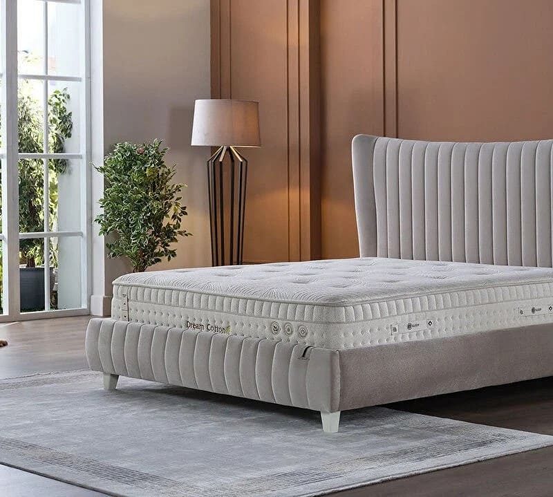 paturi_chisinau_venisa