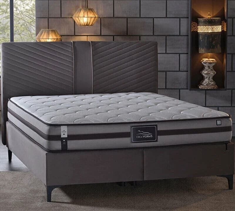 Saltea_Chisinau_Ergoform5