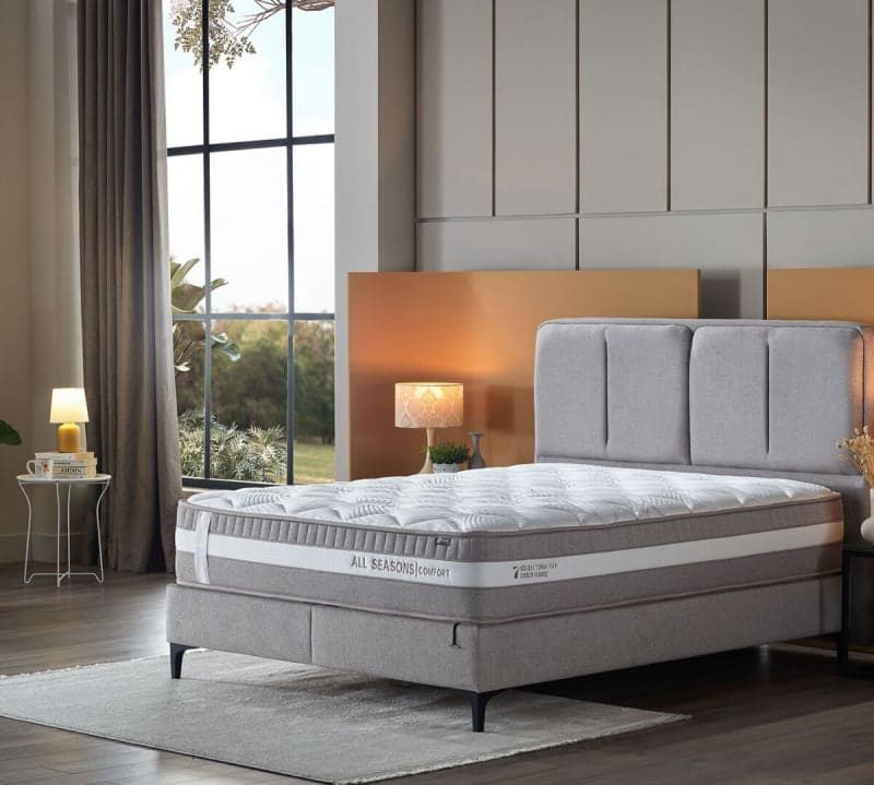 paturi_chisinau_allseasons